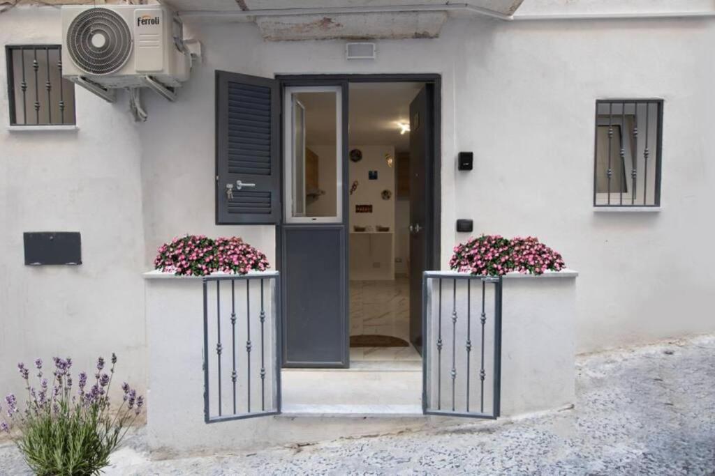 Concordia House Centro Storico Διαμέρισμα Νάπολη Εξωτερικό φωτογραφία